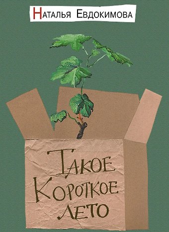 Наталья Николаевна Евдокимова Такое короткое лето: рассказы-мотыльки
