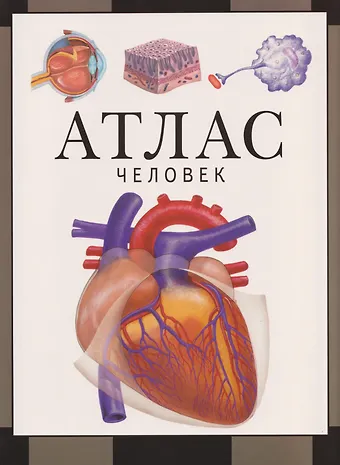 Сергей Викторович Барабанов Человек. Атлас