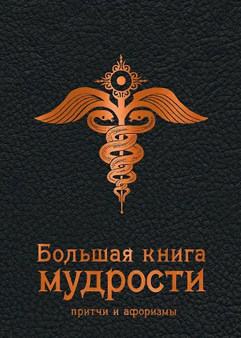 И. Попков Большая книга мудрости (черная)