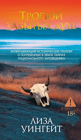 Лиза Уингейт Тропой забытых душ