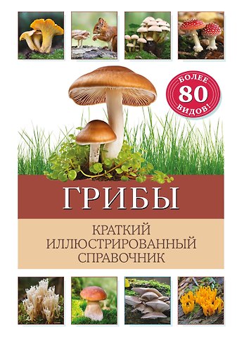 Офтринг Бэрбель Грибы. Краткий иллюстрированный справочник