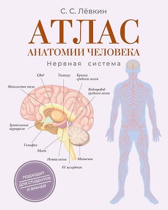 Лёвкин Сергей Сергеевич Атлас анатомии человека. Нервная система
