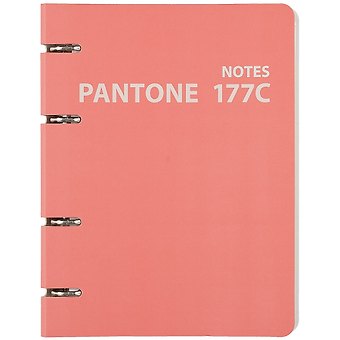 Тетрадь на кольцах в клетку Listoff, "Pantone line 177С", 120 листов