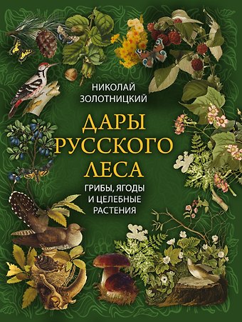 Николай Фёдорович Золотницкий Дары русского леса. Грибы, ягоды и целительные растения