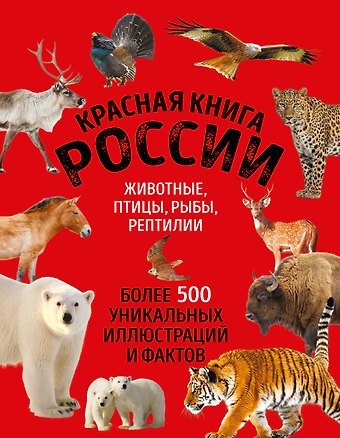 Добрыня Юлия Михайловна Красная книга России. Большой формат. Более 500 уникальных иллюстраций и фактов (новое издание) (основной)