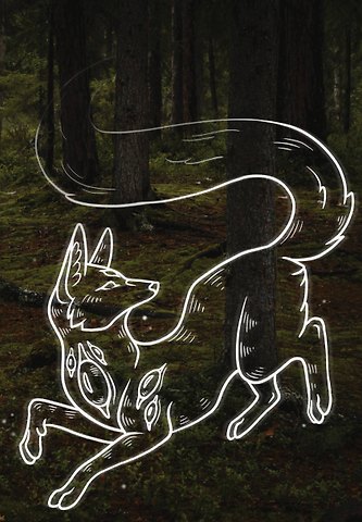 Книга для записей А5 64л тчк. Rumie Nordur спираль