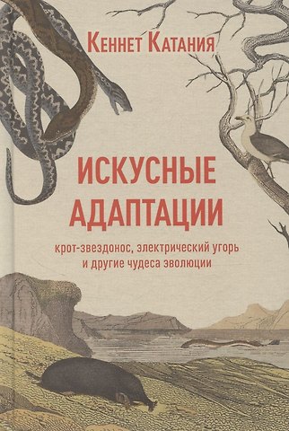 Кеннет Катания Искусные адаптации. Крот-звездонос, электрический угорь и другие чудеса эволюции