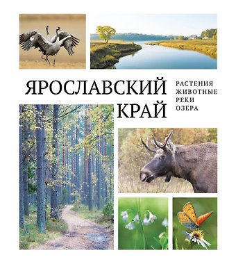 Ярославский край: растения и животные, реки и озера