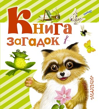 Валентина Геннадьевна Дмитриева Книга загадок