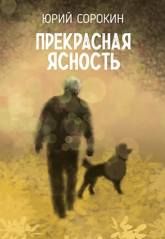 Сорокин Юрий Александрович Прекрасная ясность