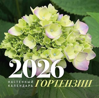 Календарь 2026г 300*300 Гортензии настенный, на скрепке