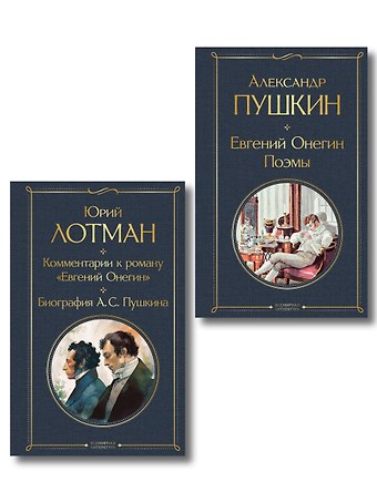 Расшифрованный Евгений Онегин (набор из 2 книг: Евгений Онегин, Комментарии к роману «Евгений Онегин». Биография А. С. Пушкина)