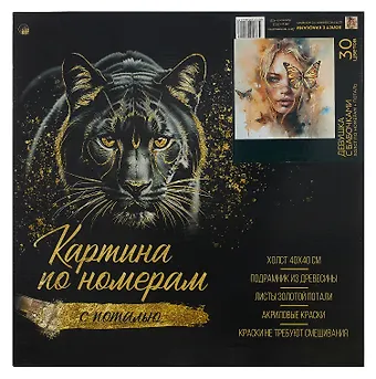 Холст с красками по номерам с поталью Девушка с бабочками, 40 х 40 см
