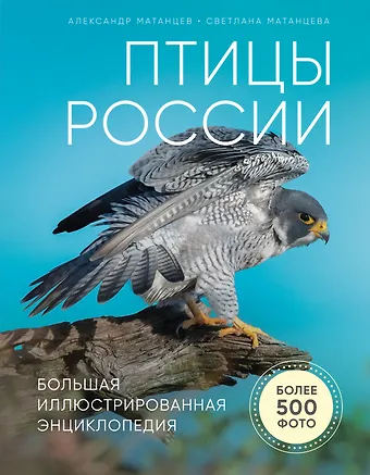 Александр Николаевич Матанцев Птицы России. Большая иллюстрированная энциклопедия