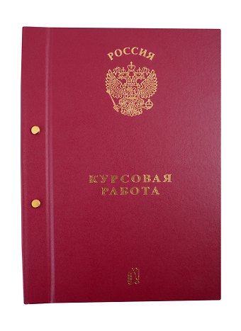 Папка Курсовая работа/Для курсовых работ бордо, с 2-мя отверстиями
