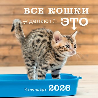 Календарь 2026г 300*300 Все кошки делают это настенный, на скрепке