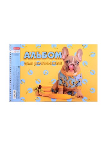 Альбом для рисования Hatber, "Гав-Стори", А4, 32 листа, на спирали, в ассортименте