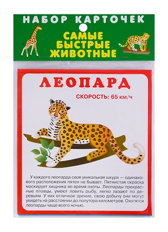Набор карточек Самые быстрые животные