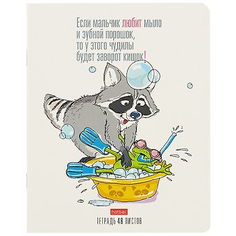 Тетрадь в клетку Hatber, Прикольный енот, 48 листов, в ассортименте