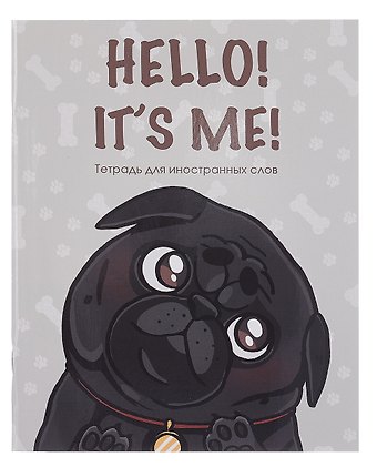 Тетрадь для записи иностр.слов А5 48л Hello! скрепка, мел.картон, глянц.ламинация