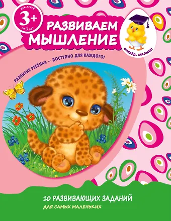 Наталья Валерьевна Цветкова Развиваем мышление