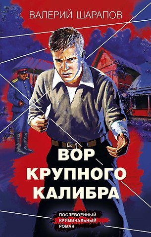 Валерий Георгиевич Шарапов Вор крупного калибра