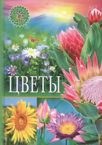 Цветы. Популярная детская энциклопедия