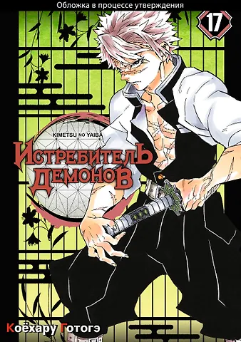 Коёхару Готогэ Истребитель демонов. Том 17 (Клинок, рассекающий демонов / Demon Slayer: Kimetsu no Yaiba). Манга