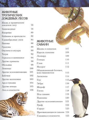 Энциклопедия чудес света