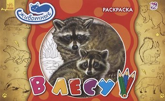 В лесу. Раскраска