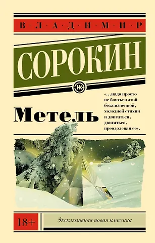 Владимир Георгиевич Сорокин Метель