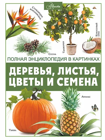 Анна Артуровна Спектор Деревья, листья, цветы и семена