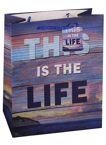 Пакет подарочный бумажный А4 This is the life, нейтральный