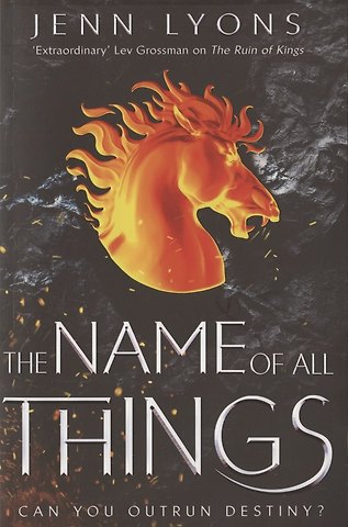 Дженн Лайонз The Name of All Things