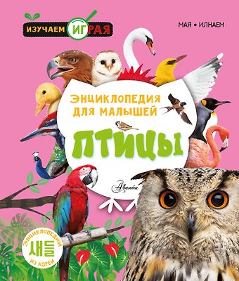 Птицы