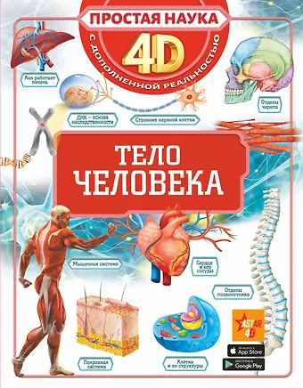 Анна Артуровна Спектор Тело человека