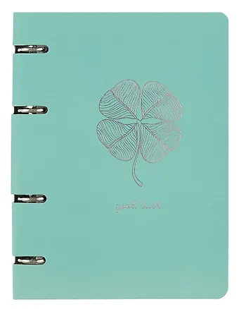 Тетрадь на кольцах Listoff, ColourMania. Дизайн 21, А5, 100 листов