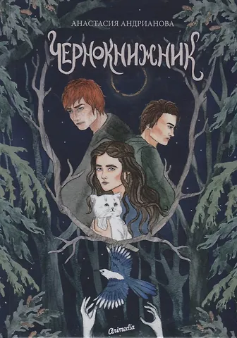 Анастасия Александровна Андрианова Чернокнижник. Книга вторая: Роман