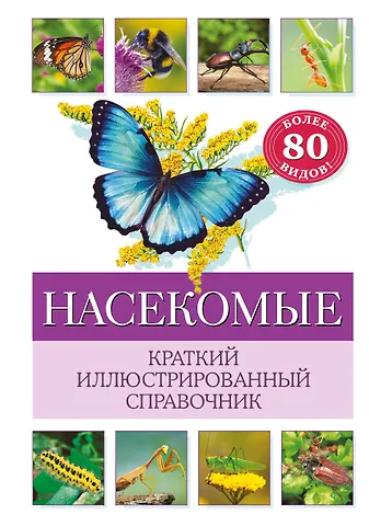 Бэрбель Офтринг Насекомые. Краткий иллюстрированный справочник