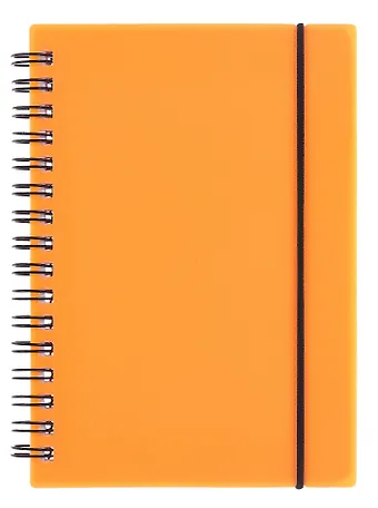 Тетрадь 80 листов, клетка, Favorite Color. Neon Orange спираль