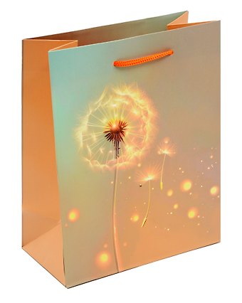 Пакет А5 23*18*10 Одуванчик. Basic жен., бум.мат.ламинат