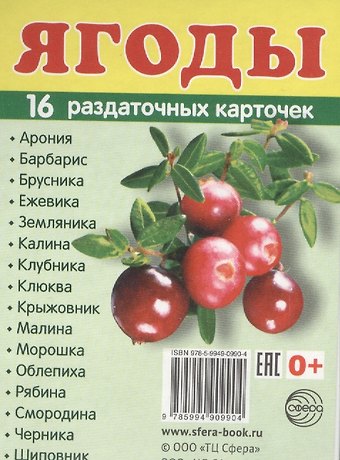 Татьяна Владиславовна Цветкова Дем. картинки СУПЕР Ягоды.16 раздаточных карточек с текстом (63х87мм)