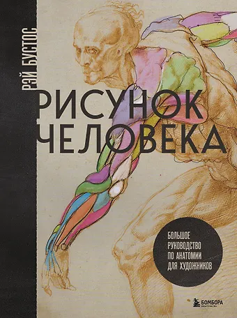 Бустос Рэй Рисунок человека. Большое руководство по анатомии для художников