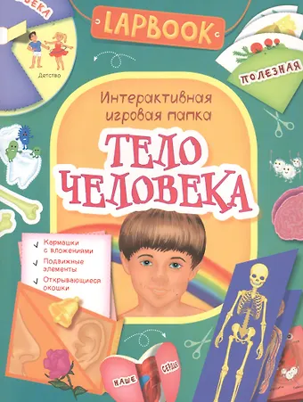 Тело человека