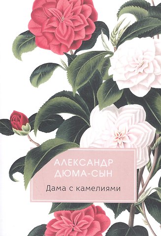 Александр Дюма (сын) Дама с камелиями