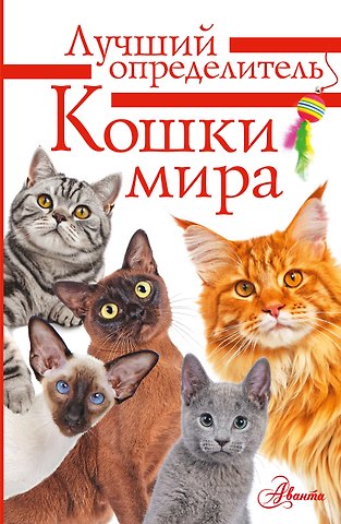 Михальская Анна Константиновна Литература с видео-уроками