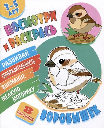 Воробышек. Посмотри и раскрась