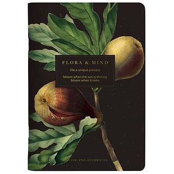 Тетрадь в клетку Be Smart, Flora. Инжир, 48 листов