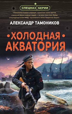 Александр Александрович Тамоников Холодная акватория