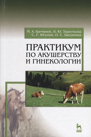 Минереис Алиуллович Багманов Практикум по акушерству и гинекологии. Учебн. пос., 1-е изд.